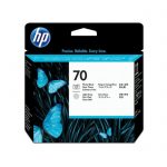 HP 70 Photo Black and LT Gray